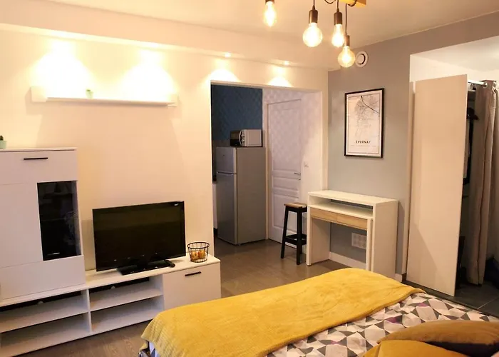 Studio Hyper Centre Ville Epernay - Champagne